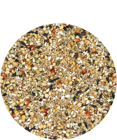 VERSELE LAGA Hirn Mixture Faza 2 20kg