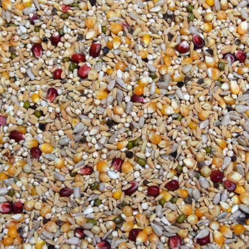 Przejdź do produktu VANROBAEYS Nr 523 Platteeuw Specjal 20 kg - karma lotowa dla gołębi