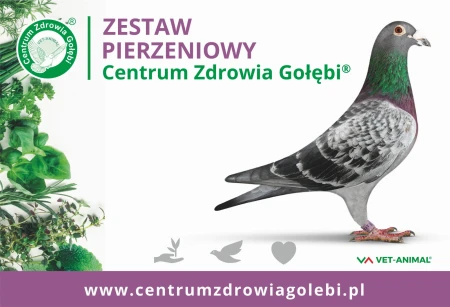 CENTRUM ZDROWIA GOŁĘBI  Zestaw pierzeniowy - pakiet 11 produktów + 1 GRATIS