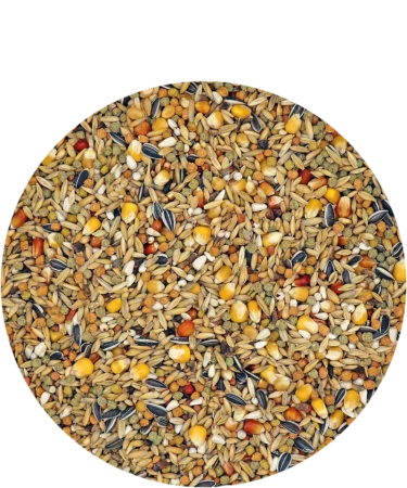 VERSELE LAGA - Winter Plus I.C.+ 20kg Karma zimowa