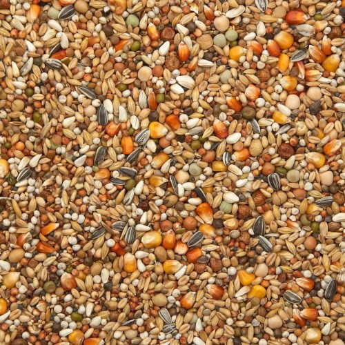 Przejdź do produktu VANROBAEYS Nr 42 Eksluzywna Mieszanka Pierzeniowa 20 kg - karma pierzeniowa dla gołębi 