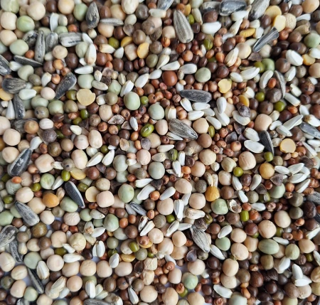 VERSELE LAGA - Active Life Protein 20kg karma rozpłodowa wysokobiałkowa bez kukurydzy