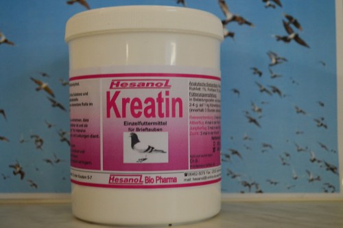 Przejdź do produktu HESANOL Kreatin 500 g - kreatyna, wzmacniacz energii dla gołębi