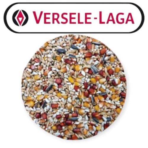 Przejdź do produktu VERSELE LAGA Active Life Speed 20 kg - karma dla gołębi na krótki dystans 