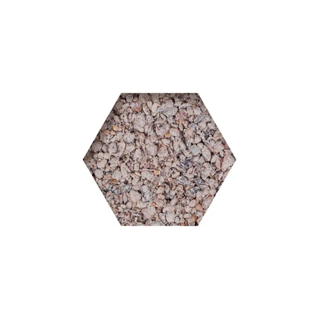 beyers-picking-pot-coral-51-kamien-z-algami-bialy.jpg
