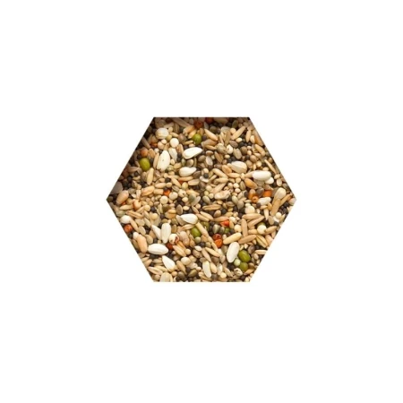 beyers-trapping-mix-25kg6-miesz-nasion-oleisych.jpg