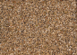 beyers-original-trapping-mixture-20kg-mieszanka-oleista (1).jpg