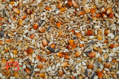 Przejdź do produktu GOLD WINGS F3  20 kg - faza 3, karma energetyczna na loty dla gołębi