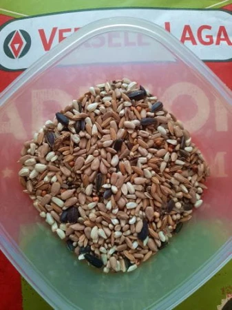 energetyczna0.jpg