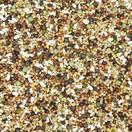 K-BP-600x600.png