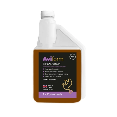 rapide-fortex4-500ml-2024-rgb-scaled.jpg