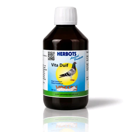 herbots-vita-duif.jpg