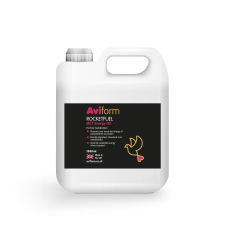 Olej energetyczny MCT AVIFORM Rocketfuel kanister 1000ml Gołębi Market