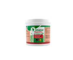 ROHNFRIED - MagnePro 500 g