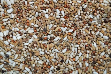 GOLD WINGS - SD - Super Dieta 20kg