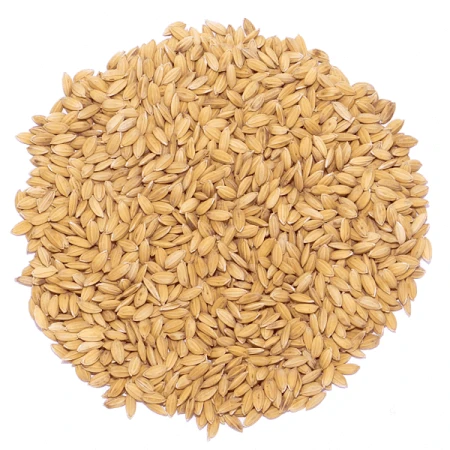 Ryż paddy 1kg