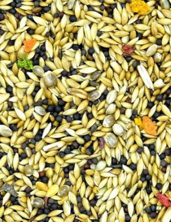 MDM - KE – DLA KANARKA EXCLUSIVE VITA ORGANIC KANAREK 1 kg