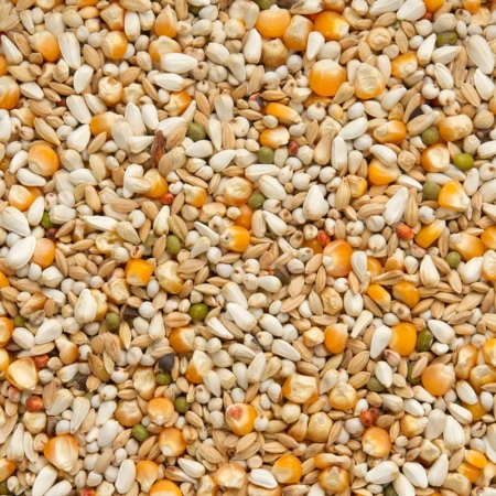 BEYERS Premium Vandenabeele, 20 kg - karma lotowa lekkostrawna