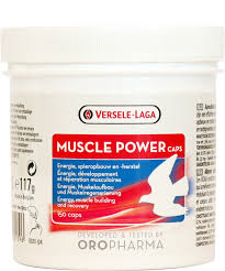VERSELE LAGA Muscle Power Caps, 150 szt - rozbudowa i regeneracja mięśni