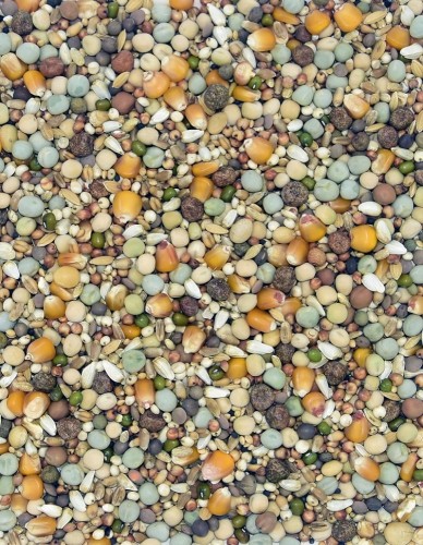 Przejdź do produktu MDM RO Optima 25 kg - karma rozpłodowa dla gołębi