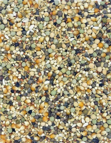 Przejdź do produktu MDM K Krótkodzioba Specjał 25 kg - mieszanka dla krótkodziobów 