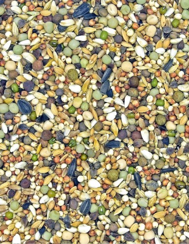 Przejdź do produktu MDM DO Ptasia Elegancja 25 kg - mieszanka dla gołębi ozdobnych
