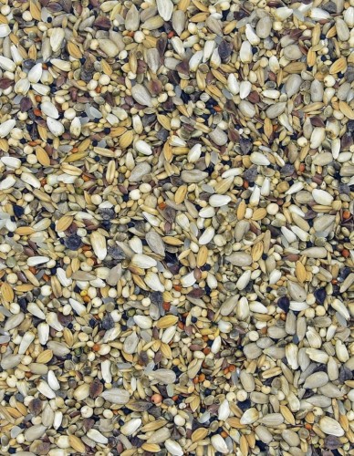 Przejdź do produktu MDM NO Nasiona Oleiste  25 kg - mieszanka nasion oleistych dla gołębi