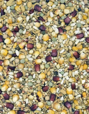 MDM - LSV - LOTOWA SUPER VERVA 25 KG