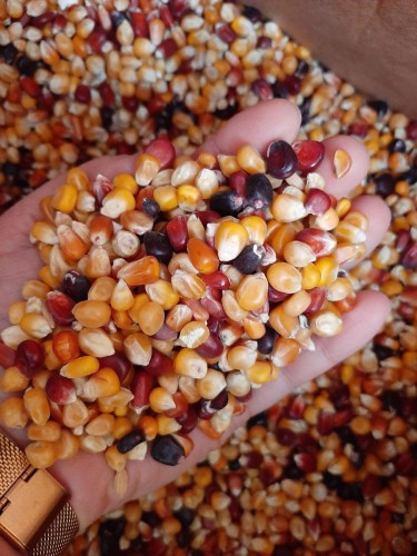 Przejdź do produktu MDM MK Mix Kukurydz 1 kg - kukurydza zimnosuszona