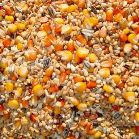Przejdź do produktu VANROBAEYS Nr 29 Wyścigowa bez grochu 20 kg - lekkostrawna karma lotowa dla gołębi