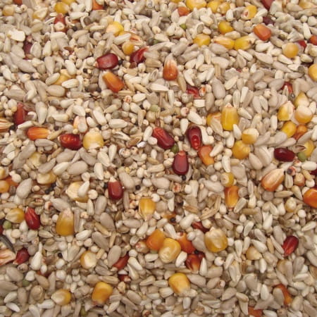 VANROBAEYS  – nr 35 Top Energy – 20 kg  -  karma energetyczna