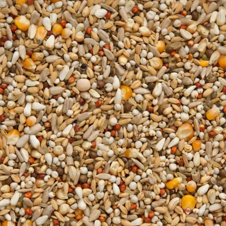 BEYERS - Enzymix 7/47 MS Energy - 20 kg karma energetyczna