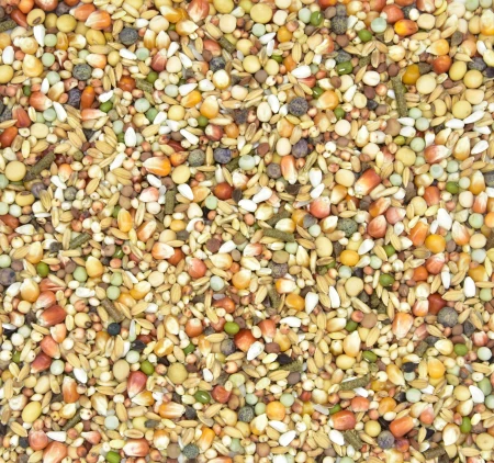 MDM -   PERSONAL MIX 2 EXCELLENT PME-2  25kg