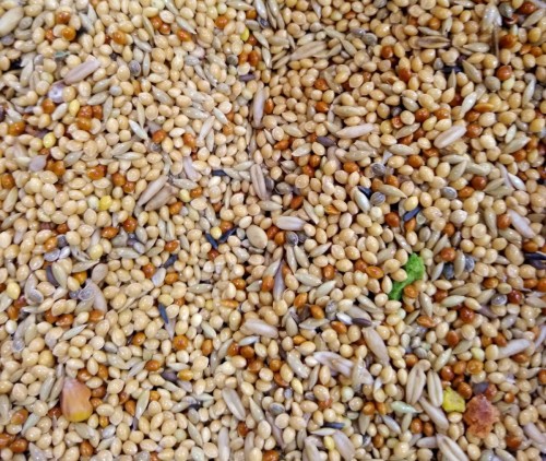 Przejdź do produktu MDM PF Australian Taste Vita-Organic 10 kg - karma dla papug falistych