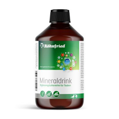 ROHNFRIED - Mineral drink 500 ml