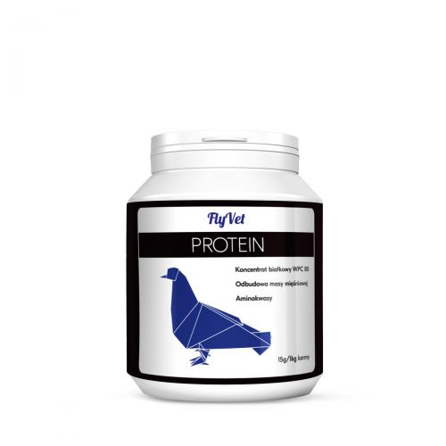 FlyVet Protein 200g - 80% białka budowa mięśni regeneracja
