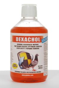PATRON - Dexachol - ochrona wątroby, 1000 ml