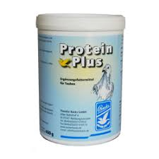 BACKS - Protein Plus