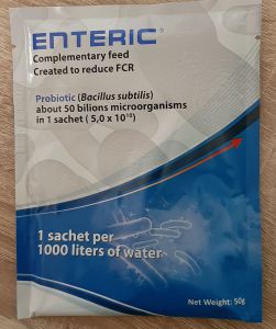 enteric1