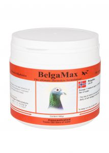 PIGEON VITALITY - BelgaMax 400gr Elektrolit vitaminy regeneracja