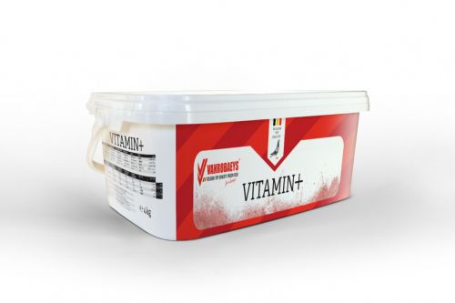 VANROBAEYS - Vitamin+ 4kg - witaminizowana mieszanka mineralna