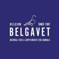 BELGAVET