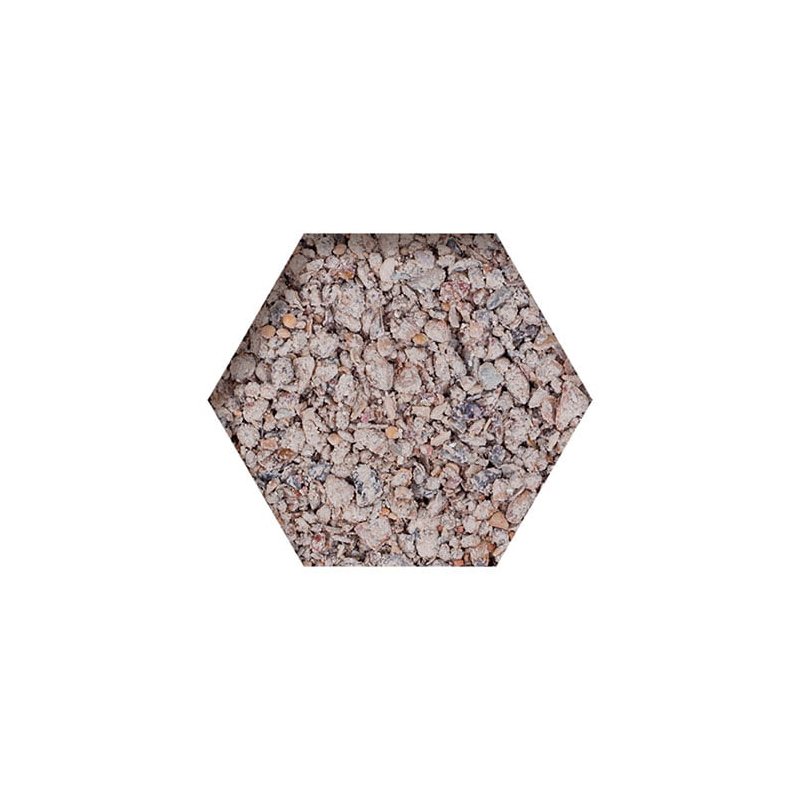 beyers-picking-pot-coral-51-kamien-z-algami-bialy.jpg