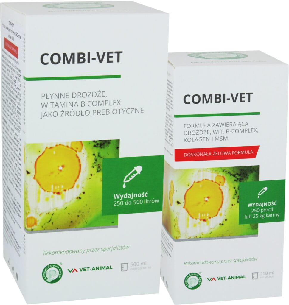 COMBI-VET-duo-scaled-970x1024.jpg